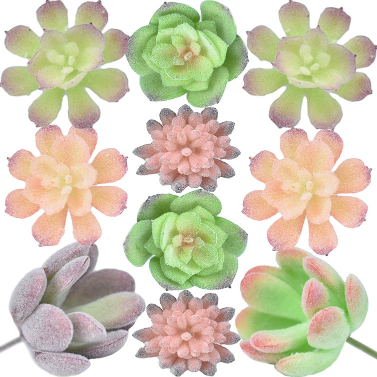 Primrue Unpotted Mini Succulents Artificial 10 Pcs Flocked Fake